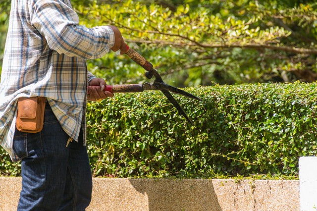 Garden Maintenance Hoddesdon, EN11