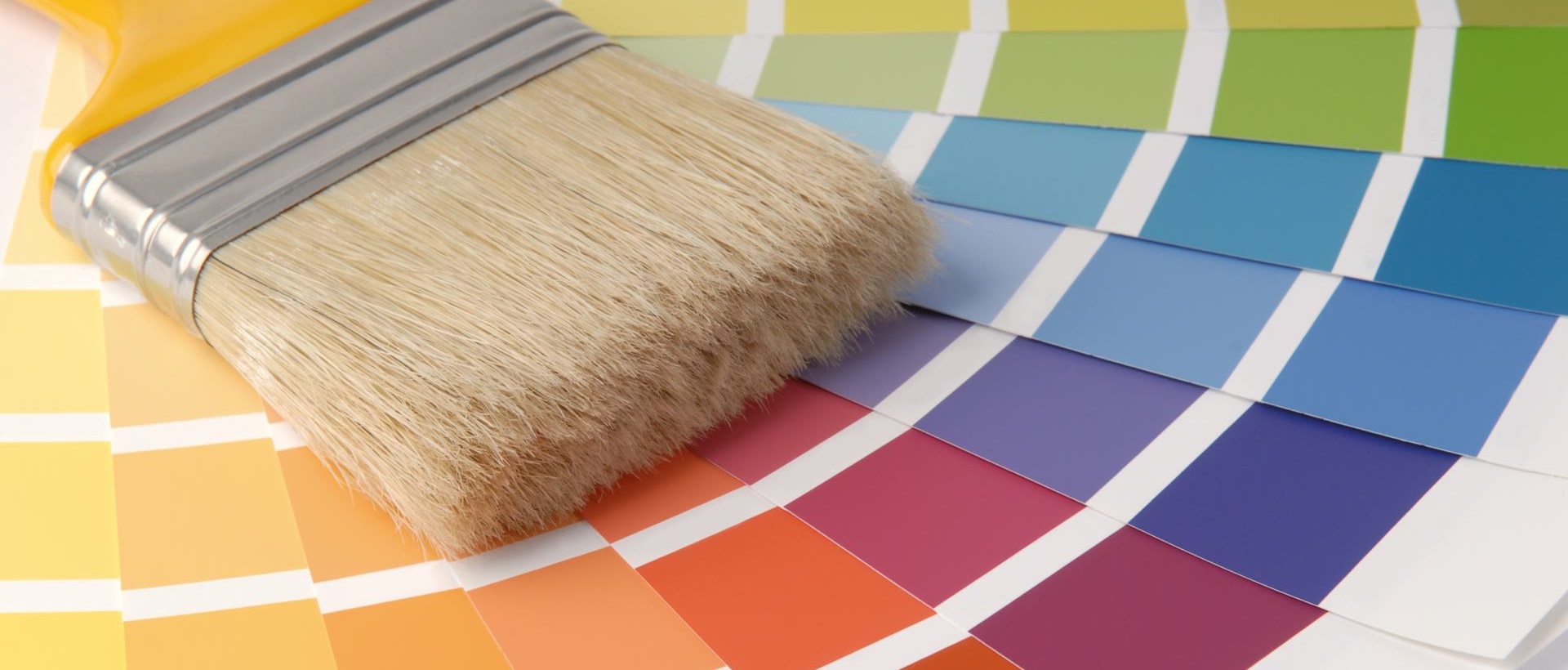Painter EN11